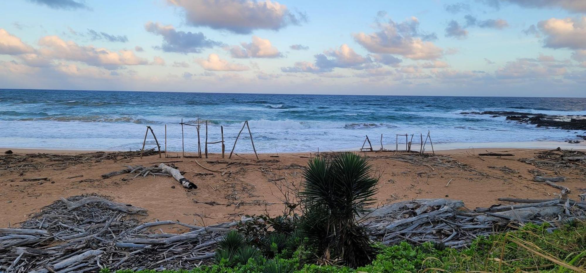 Oceanfront Kauai - Harmony Tvnc 4247 Villa Kapa'a Ngoại thất bức ảnh